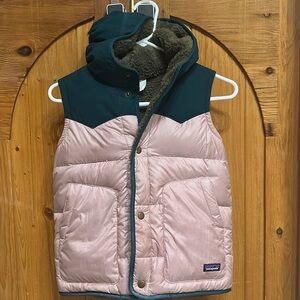 Patagonia reversible bivy vest